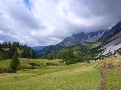 004-Auf dem Linzer Weg